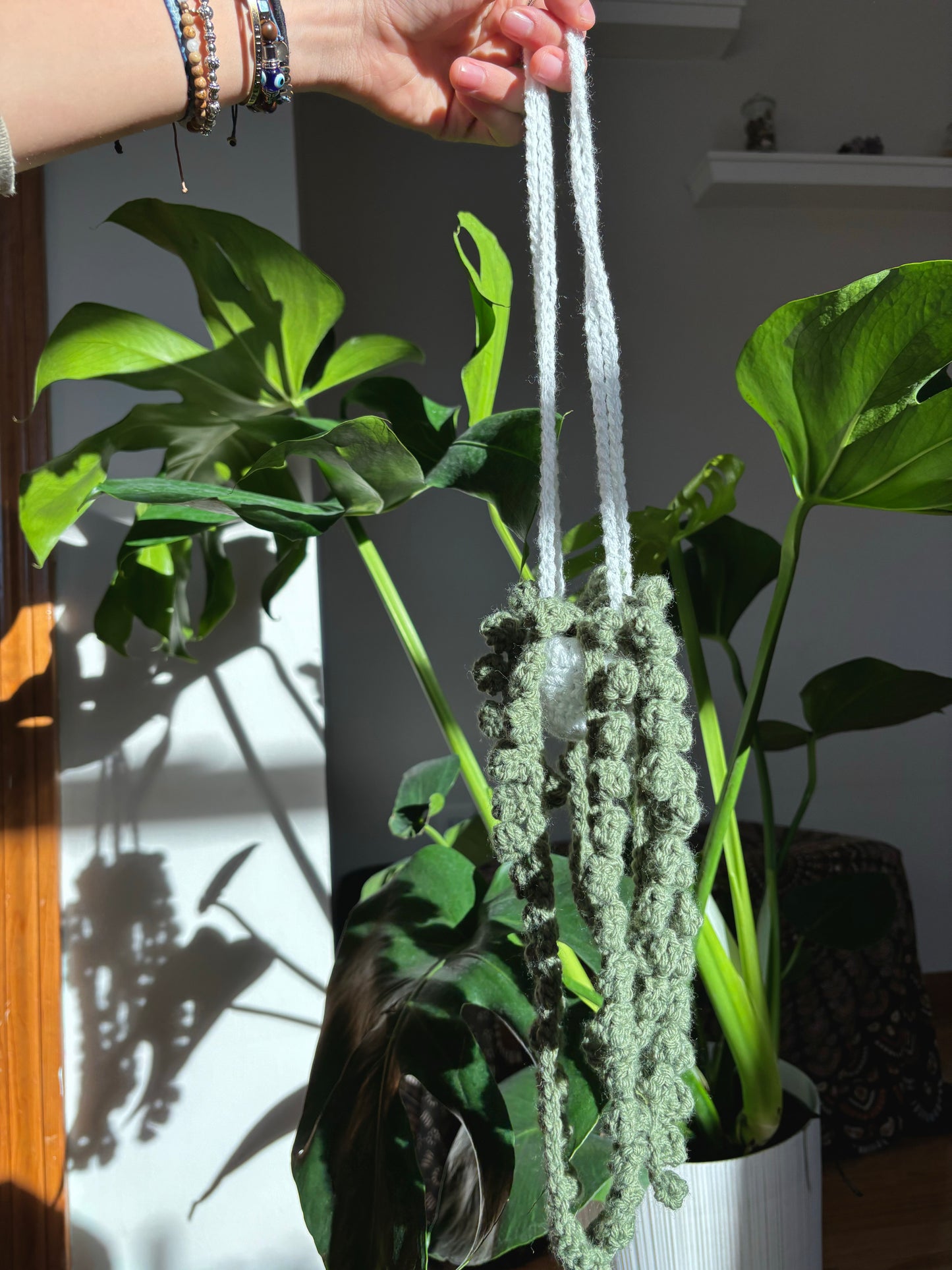 String of Pearls Hanging Plant