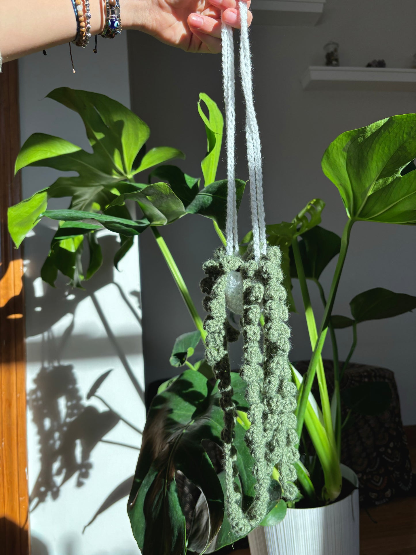 String of Pearls Hanging Plant